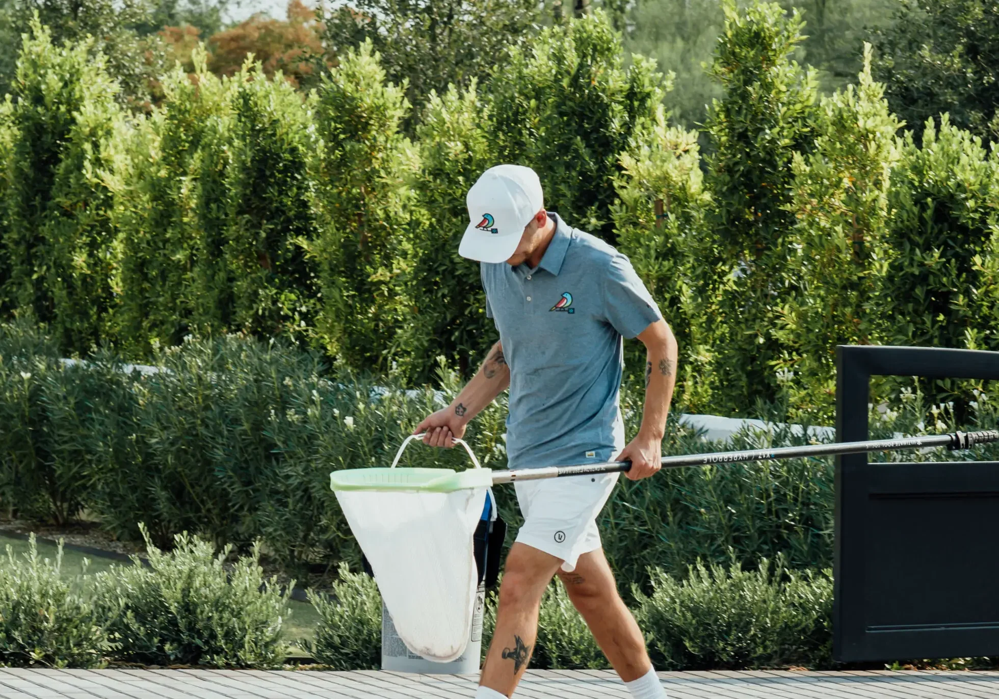 green to clean pool Phoenix